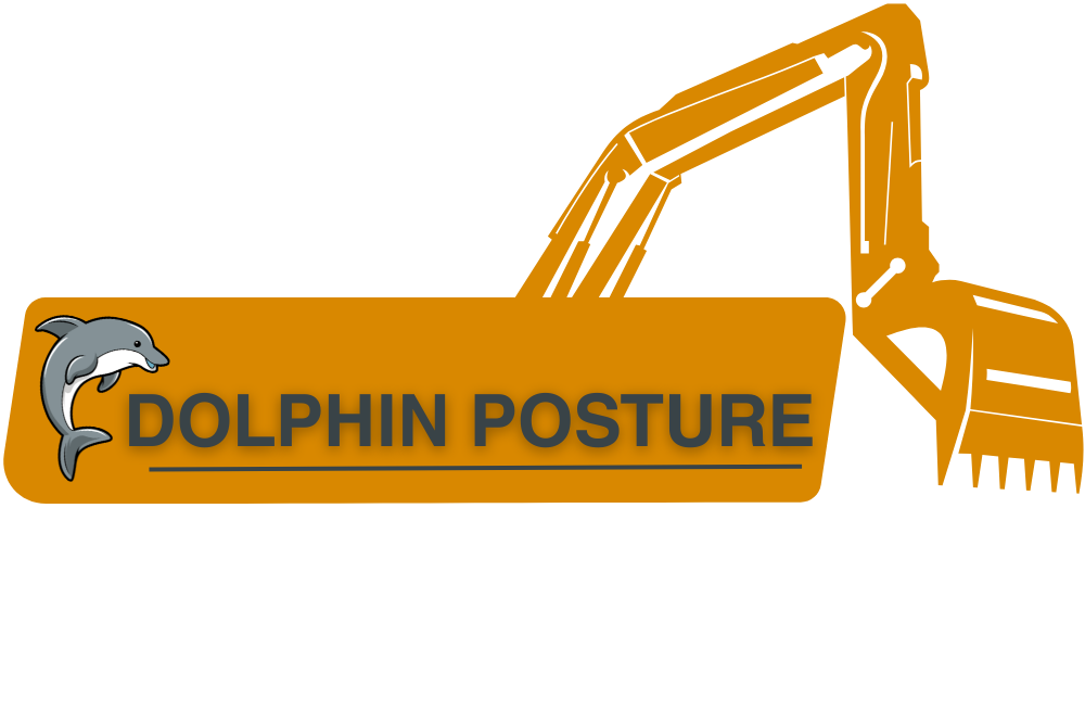 dolphinposture